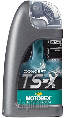 ������ �������� ����� Motorex Concept TS-X,  � ��������-�������� � ������