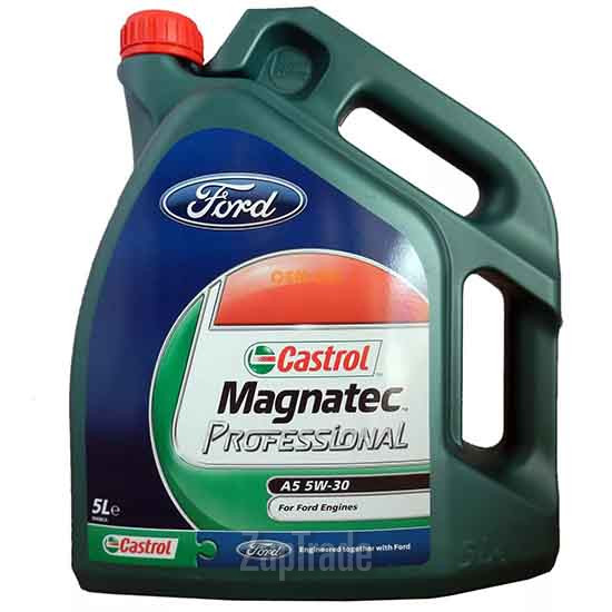 ������ �������� ����� Ford Magnatec Professional,  � ��������-�������� � ������